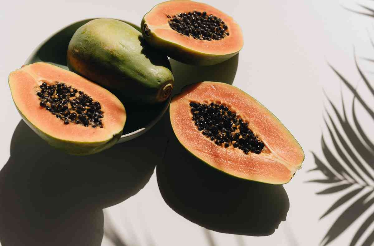 papaya