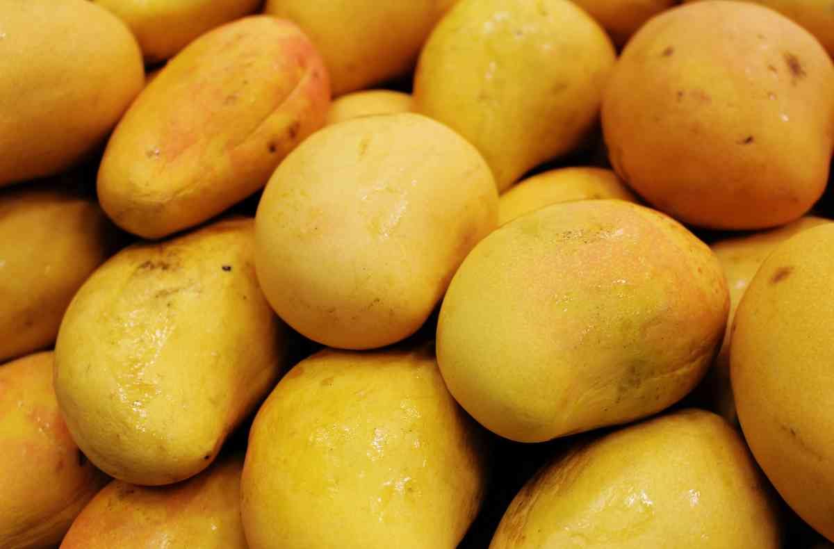 mango