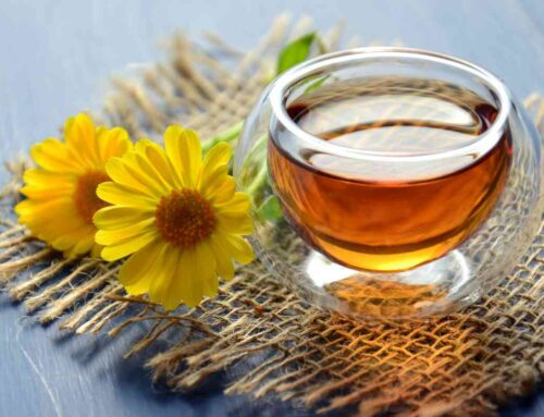 Top 3 caffeine-free wonderful herbal tea for your mornings!