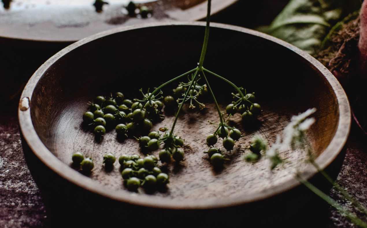 coriander seed