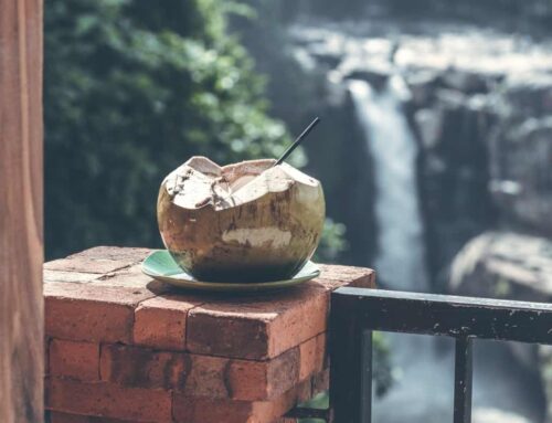 5 interesting facts about coconut water for good health!