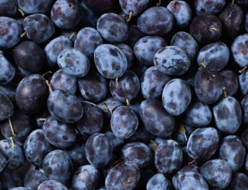 3 top benefits of Jamun for good digestion, control diabetes, & cold!
