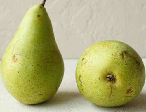 5 health benefits of Indian Pear – Healthy skin, gut, & heart!