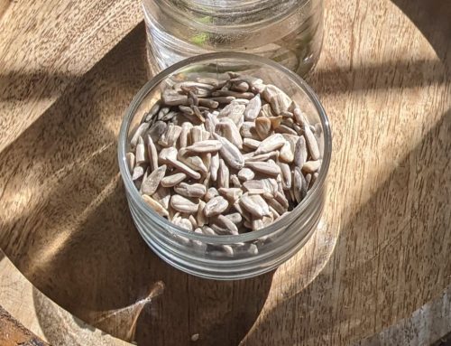 6 surprising health benefits of sunflower seeds you need to know!